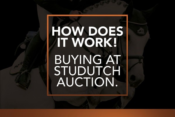Buying at StuDutch Auction, how does it work?