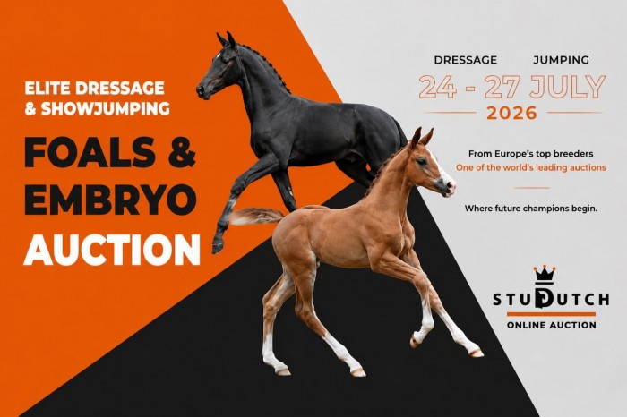 New Big Auction is coming up