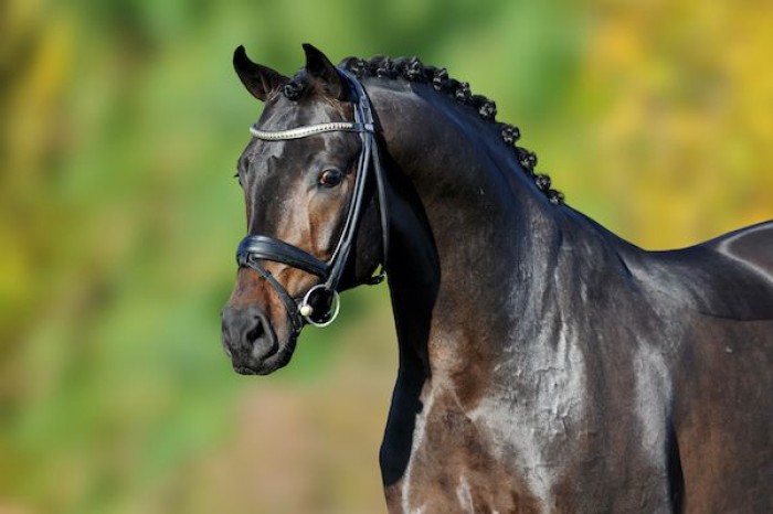 Win een rietje van For Romance